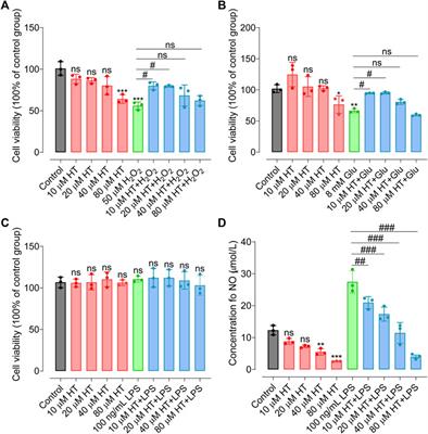 Anti-neuroinflammatory effect of hydroxytyrosol: a potential strategy for anti-depressant development